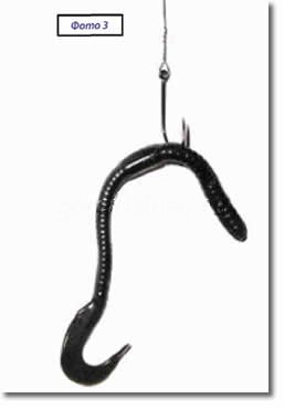 спиннинг червь королина техасская оснастка жабоник незацепляйка wacky worm джиг проводка окунь щука